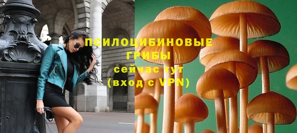 Альфа ПВП Михайлов