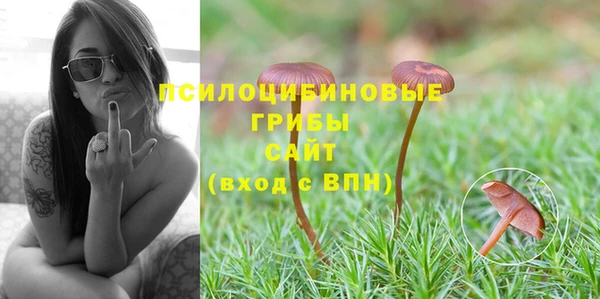 ПСИЛОЦИБИНОВЫЕ ГРИБЫ Медвежьегорск
