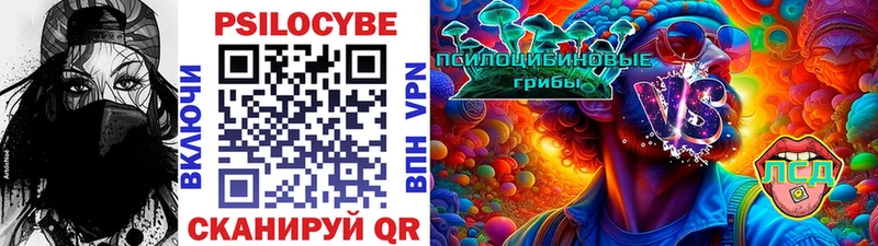 Галлюциногенные грибы Psilocybine cubensis  закладка  Кимовск 