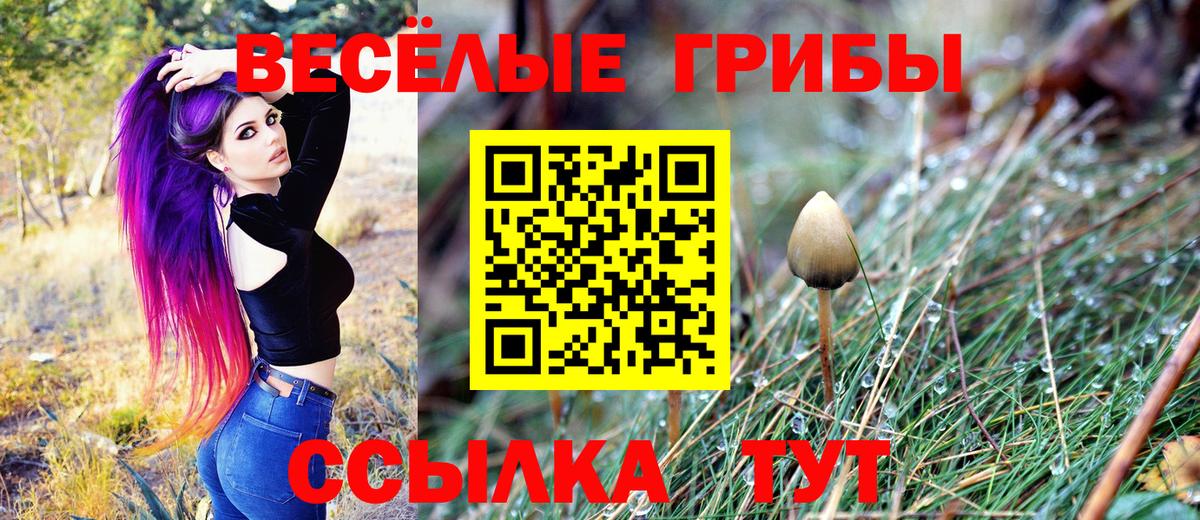 Галлюциногенные грибы Cubensis Кимовск