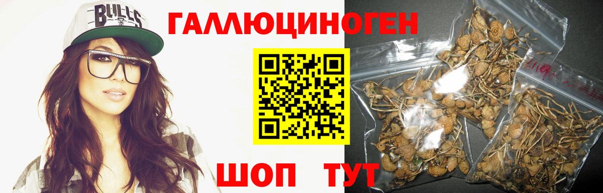 Галлюциногенные грибы прущие грибы  Вход с VPN  Кимовск 